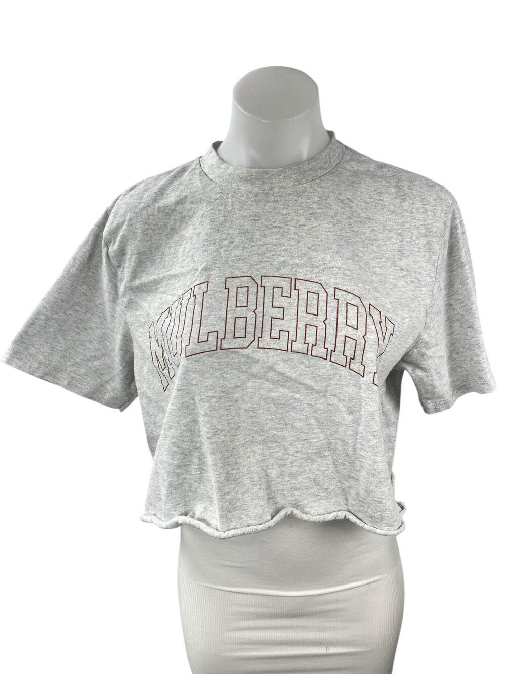 Aime Leon Dore Women's Gray Heather Mulberry Boxy Cropped T Shirt Tee Top Size M